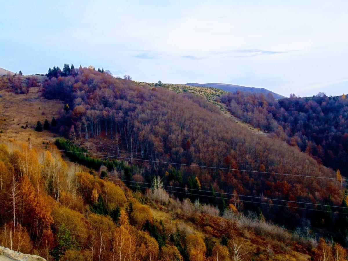 Sunny Days Apartman Kopaonik Exteriör bild