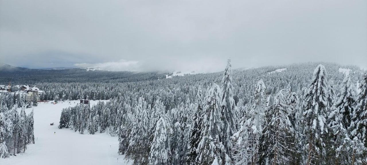 Sunny Days Apartman Kopaonik Exteriör bild